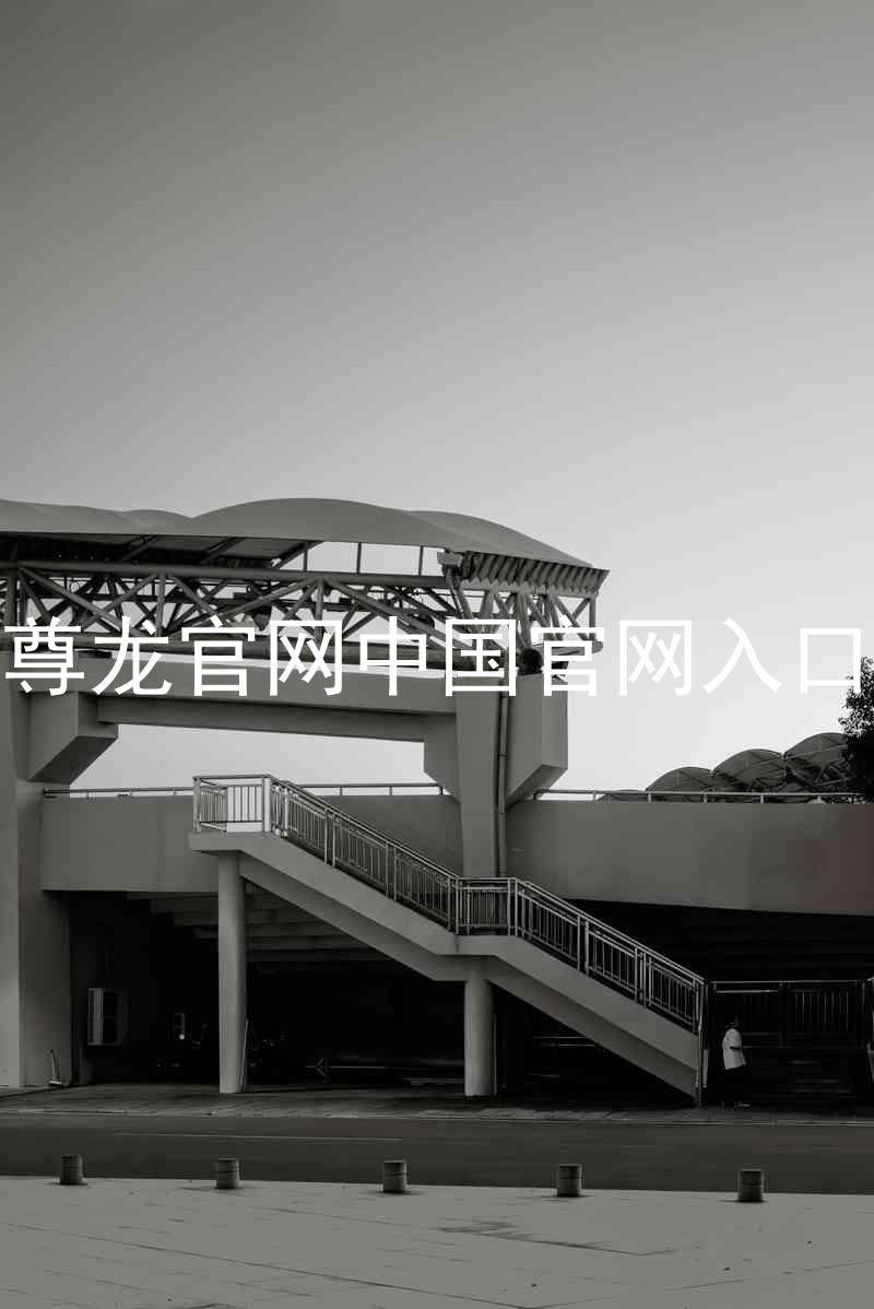 尊龙官网中国官网入口
