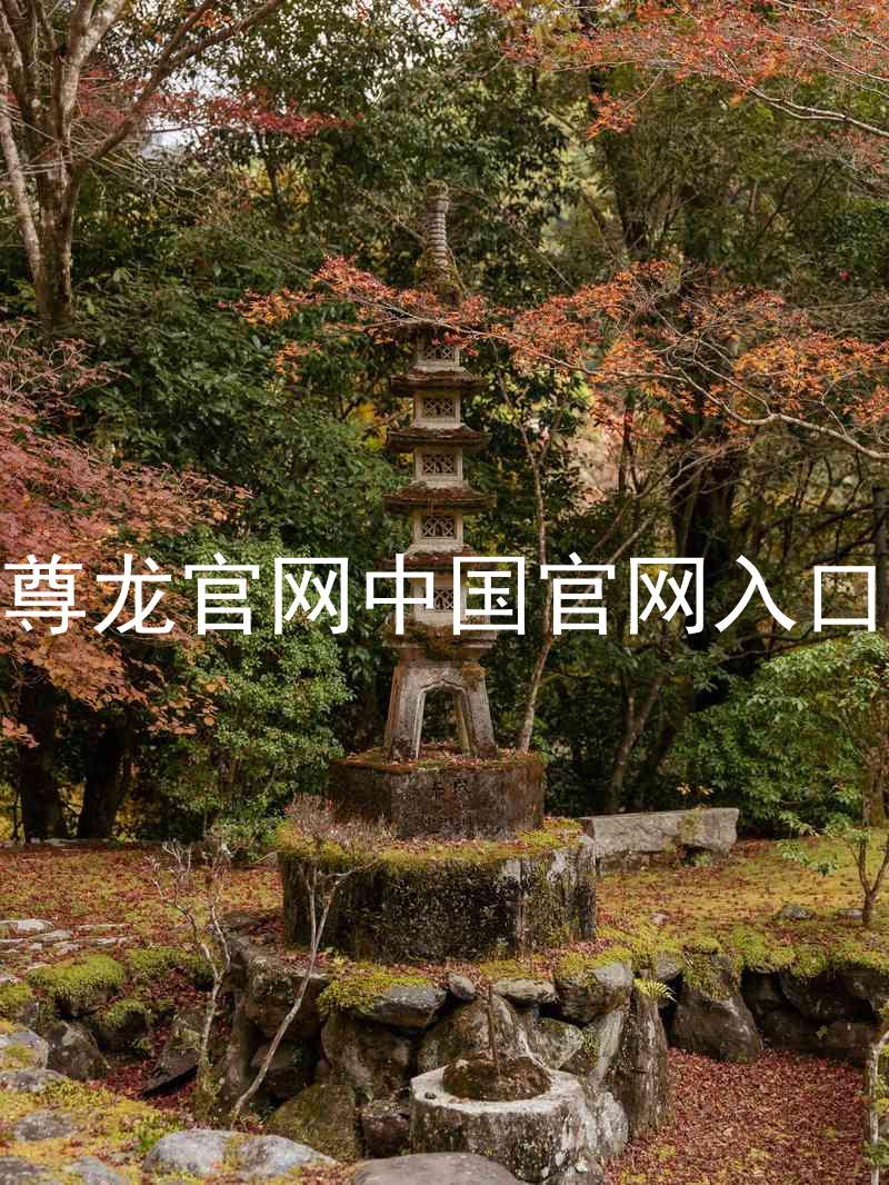 尊龙官网中国官网入口