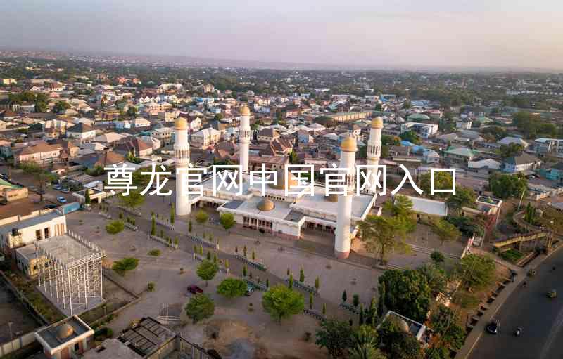 尊龙官网中国官网入口