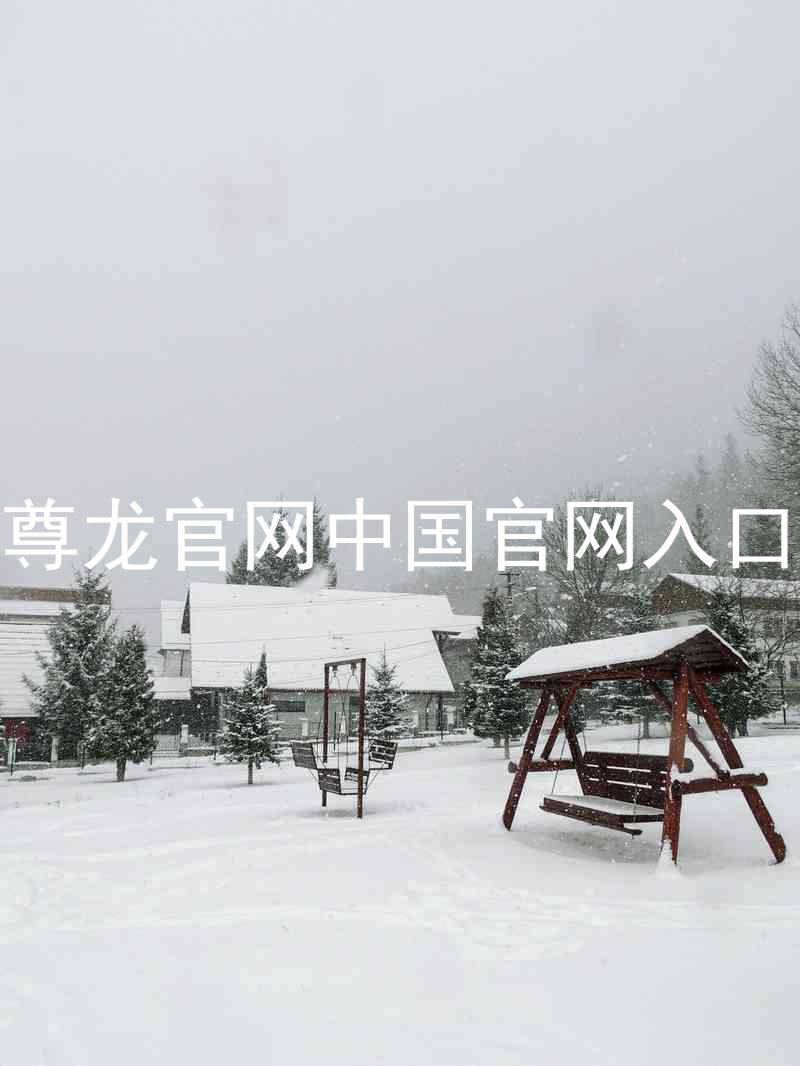 尊龙官网中国官网入口