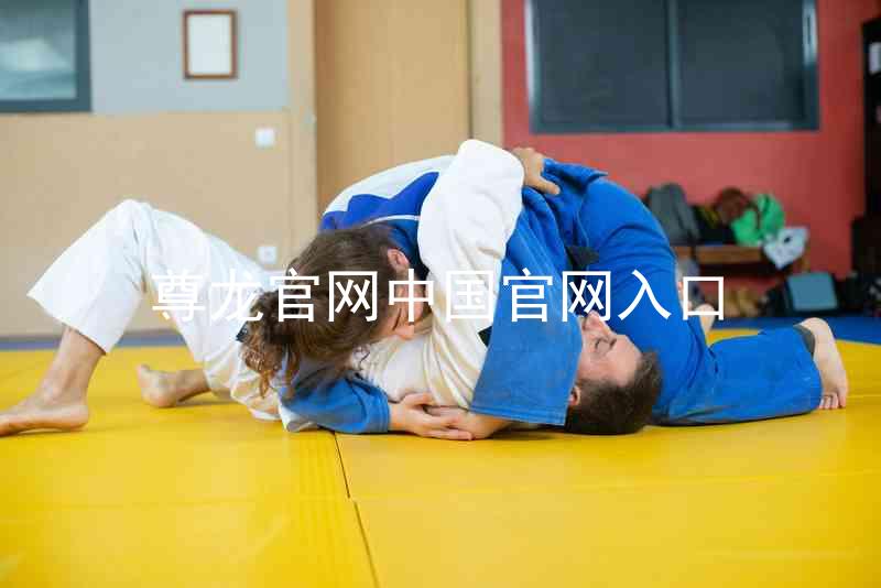 尊龙官网中国官网入口