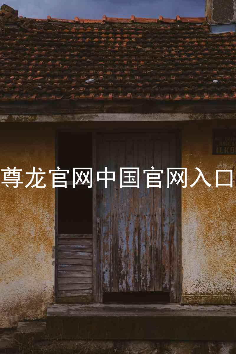 尊龙官网中国官网入口