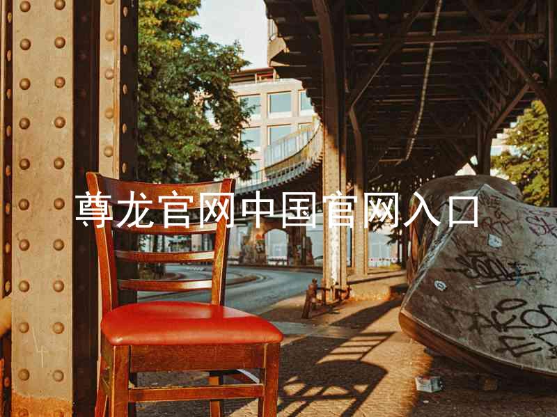 尊龙官网中国官网入口