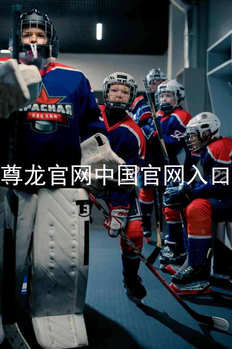 尊龙官网中国官网入口
