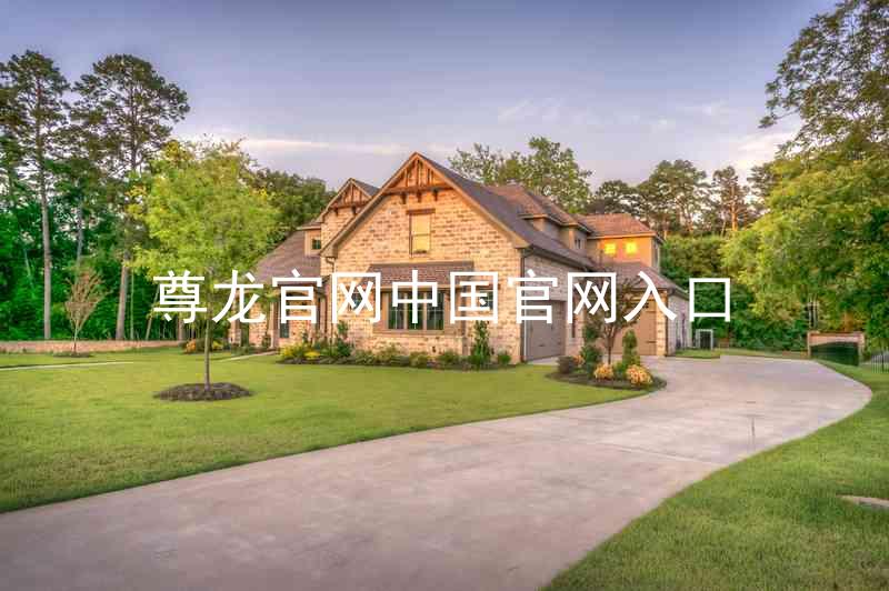 尊龙官网中国官网入口