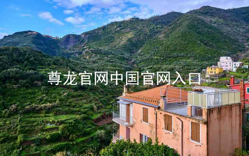 尊龙官网中国官网入口